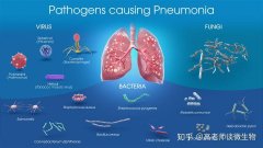 PCR實驗室施工規(guī)范