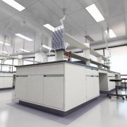 建立GMP實(shí)驗(yàn)室目的是什么？