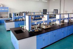 實(shí)驗(yàn)室化學(xué)品中毒有哪些應(yīng)急的處理辦法？