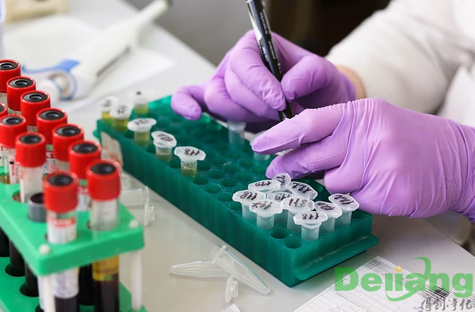 P2實(shí)驗(yàn)室的設(shè)計(jì)