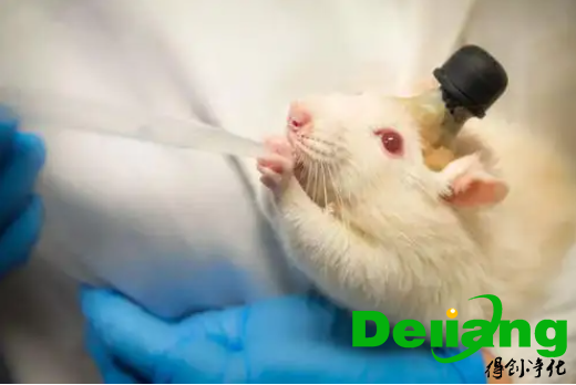 動物實驗室事故的預(yù)防