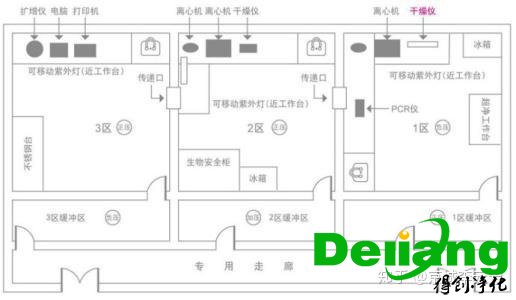 PCR實(shí)驗(yàn)室效果圖