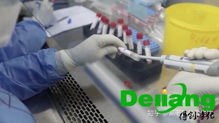 pcr實驗室擴(kuò)增區(qū)