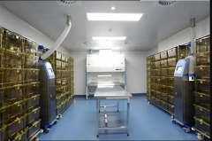 SPF動(dòng)物實(shí)驗(yàn)室建設(shè)工程報(bào)價(jià)