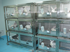 動物實(shí)驗(yàn)室建設(shè)規(guī)范