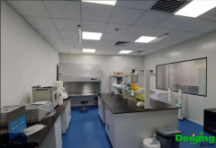 實(shí)驗(yàn)室施工規(guī)范及施工安全性