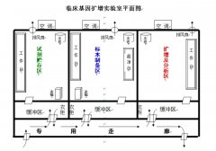 實(shí)驗(yàn)室建設(shè)布局,建設(shè)問(wèn)題