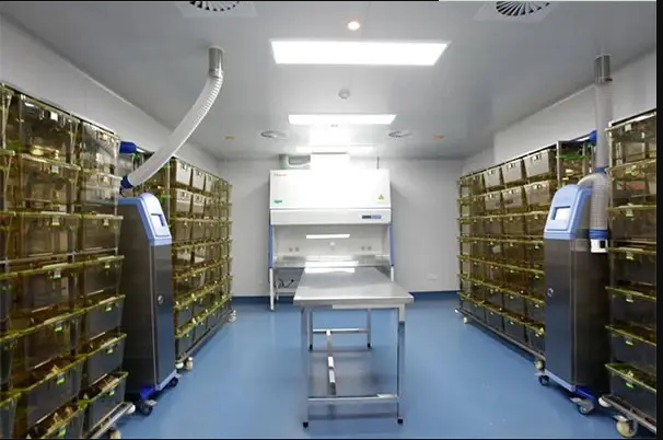 動物實(shí)驗(yàn)室效果圖