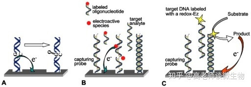 PCR實驗室效果圖