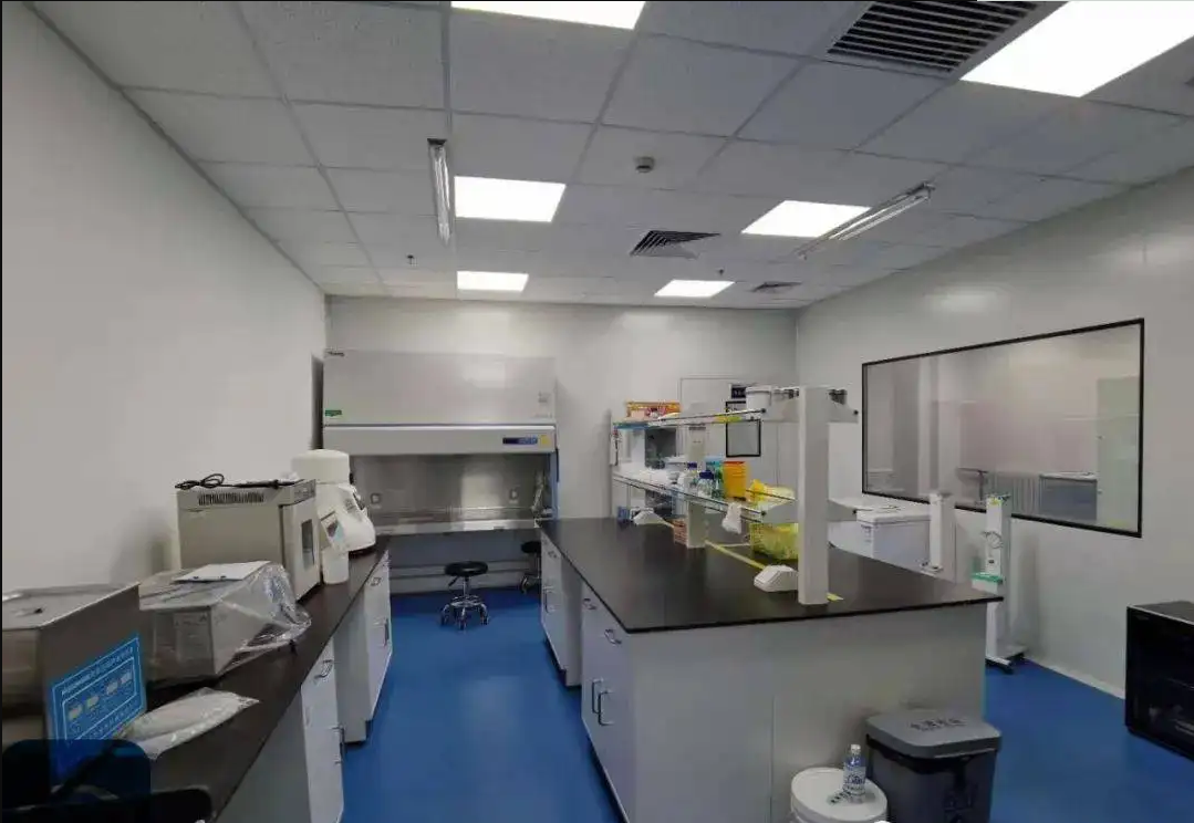 化學(xué)化學(xué)實驗室建設(shè)效果圖