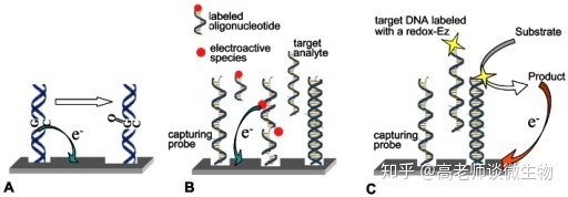 化學(xué)化學(xué)實(shí)驗(yàn)室設(shè)計(jì)效果圖